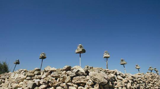 Klatki z ptakami używanymi jako wabiki Klatki z ptakami używanymi jako wabiki