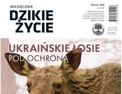 Dzikie Życie