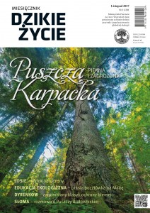 Dzikie Życie okładka Dzikie Życie okładka