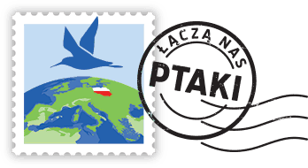 logo 190px