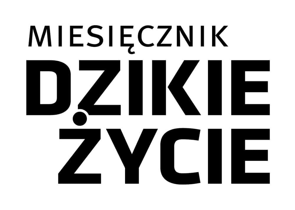 logo Dzikie Życie