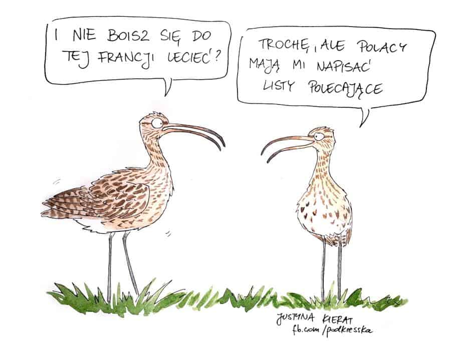 Pod kreską